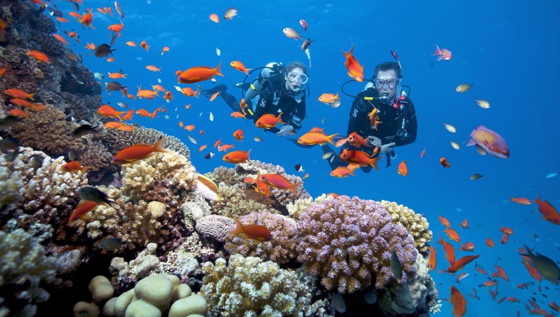 TOUR 2 ĐẢO - CÂU CÁ & NGẮM SAN HÔ NAM PHÚ QUỐC